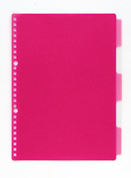 Raccoglitore ad anelli A4 cancelleria giapponese